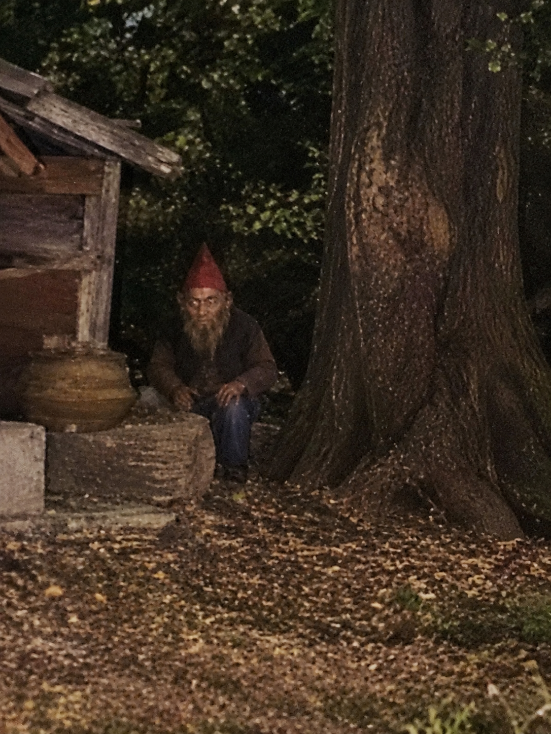 Imagen de El duende de Los Hornos